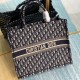 DIOR Large Book Tote M1286