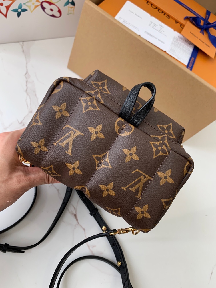 LOUIS VUITTON Palm Springs Mini M44873