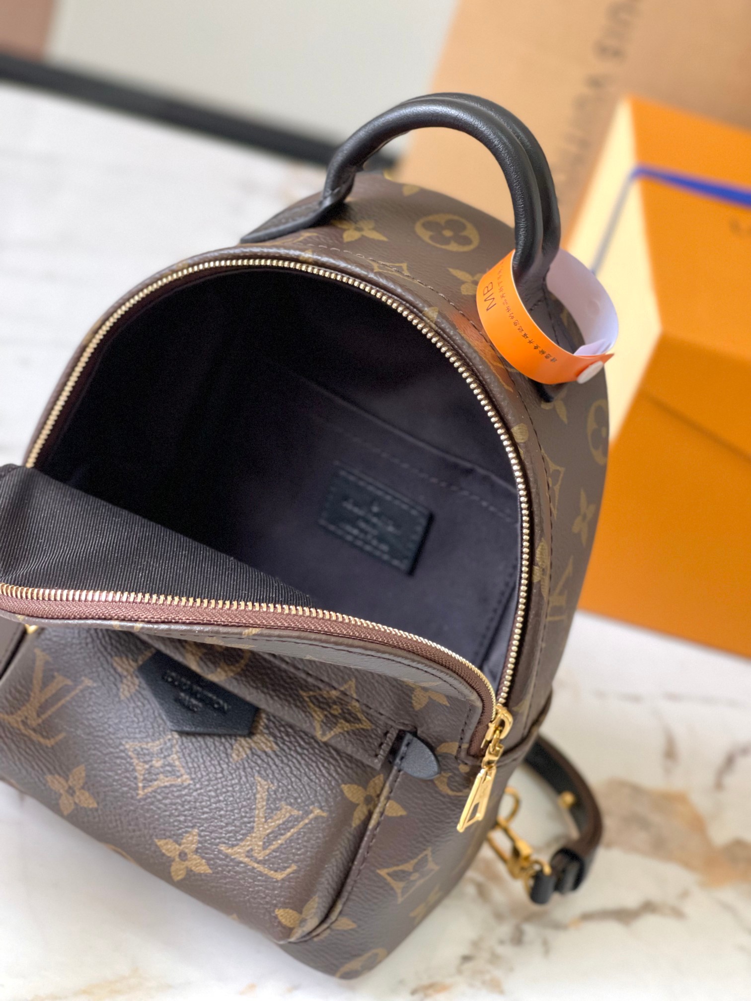 LOUIS VUITTON Palm Springs Mini M44873